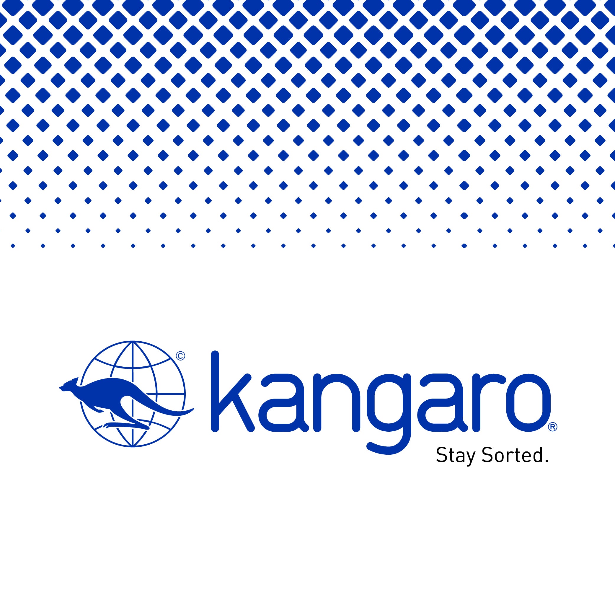 Kangaro serre-feuilles pour classeur (20 pièces) Kangaro