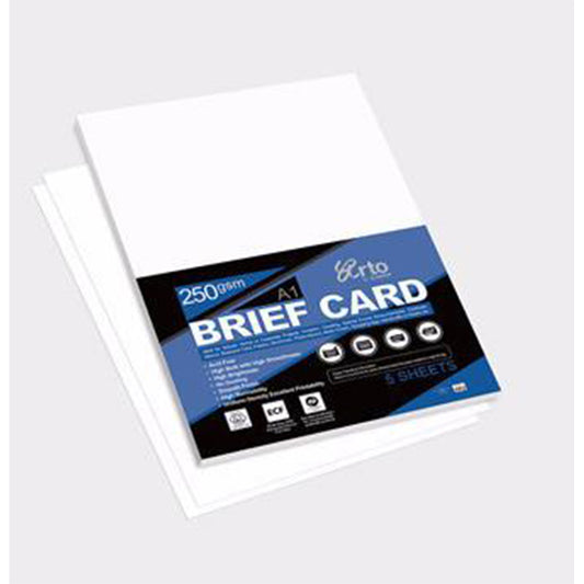 Arto Hard Paper Pack 250 GSM - 10 Sheets