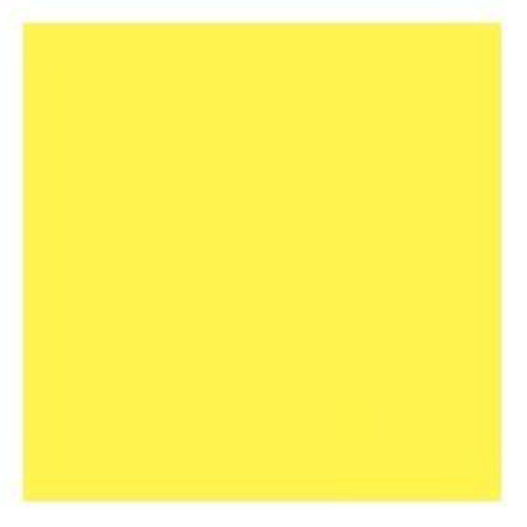 Campap Colour Paper A4 80gsm - Pack of 450 Sheets